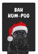 pug pun Christmas Card 20651 created by Studio Woof
