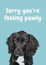 Pawly Dog Get Well Card 20652 created by Studio Woof