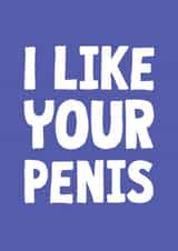 I Like Your Penis Funny Anniversary Card created by The Sweary Card Co