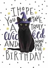 cat wicked Birthday Card 14808 created by Hot Dog greetings