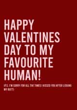 Pets funny Valentines Day Card 38274 created by designsbyphia