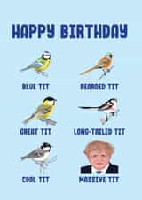blue tit bearded tit Birthday Card 8237 created by Filthy Sentiments