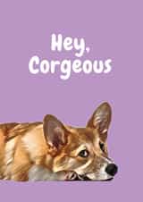 hey dog Valentines Day Card 20656 created by Studio Woof