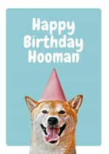 from the dog dog Birthday Card 20657 created by Studio Woof