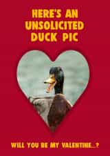 Unsolicited Duck Pic Valentine's Card created by Pottsy Prints