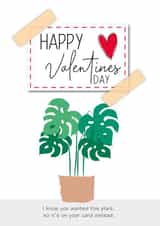 cheese plant nature Valentines Day Card 41805 created by Diary of a Craft Girl
