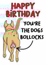 You're the dogs bollocks birthday card created by Olivia Rose Designs
