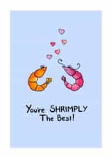 shrimp prawns Valentines Day Card 21123 created by Meg Lillicrap Studio