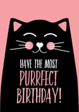 cat from the cat Birthday Card 12874 created by Blush & Blossom 