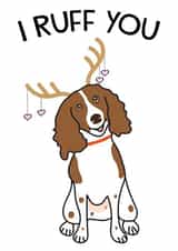 spaniel ruff Card 46632 created by HabFab
