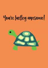 turtle turtley Love & Friendship Card 10724 created by Chameleon and Co