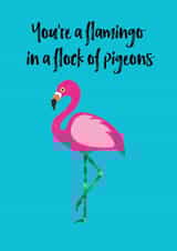 flamingo flock Love & Friendship Card 32952 created by Chameleon and Co