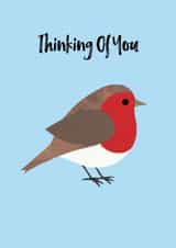 robin bird Thinking of you Card 10729 created by Chameleon and Co