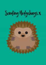 Sending hedgehugs card created by Chameleon and Co