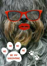 Valentine, shaggy dog, hot lips, pucker up, red sun-glasses, love, hugs and kisses Card 46856 created by Audrey Drake