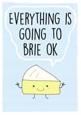 brie pun Send A Smile Card 20137 created by C+C Cards