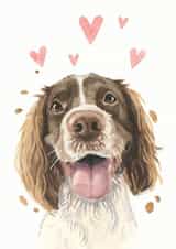 working spaniel dog Card 21225 created by Robert James Hull