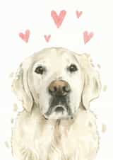 golden retriever love Just because Card 21228 created by Robert James Hull