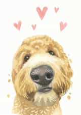 labradoodle dog Just because Card 21229 created by Robert James Hull