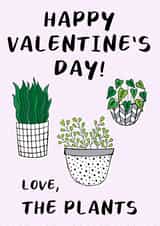 Plant mum plants Valentines Day Card 13669 created by O WHAT A FEELING
