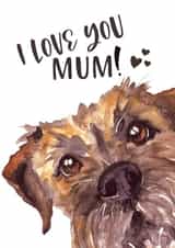 Cute Mothers Day Card - Mum - Border Terrier - I Love You Mum! created by Jo Scott Art