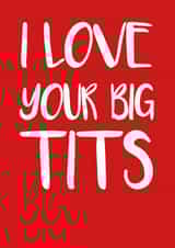 love big Valentines Day Card 16917 created by Rude Cards