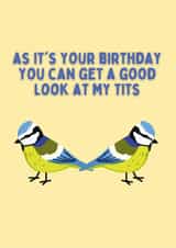 Look At My Tits For Your Birthday created by Kelly May