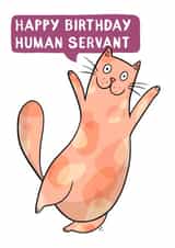 Happy Birthday Human Servant created by Drawn to Cats