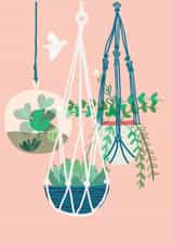 plant hanging plants Card 21360 created by Francesca Iannaccone
