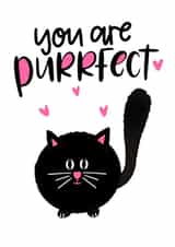 perfect purr Valentines Day Card 34336 created by Mia Loves Letters