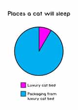 cat sleep Humour Card 9837 created by Cat Flap Cards