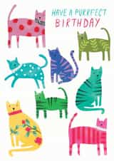 cats illustration Birthday Card 19480 created by The Boy and the Bear