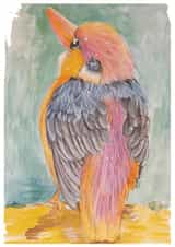 Pigmy Kingfisher created by Sally Taylor