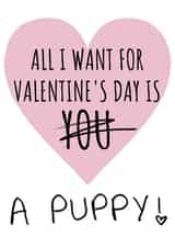 all i want puppy Valentines Day Card 46684 created by Cowpat Designs