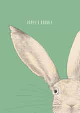 'Hoppy Birthday' Rabbit Birthday Card created by Kate Daniels Design
