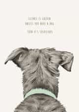 Funny Dog Birthday Card created by Kate Daniels Design