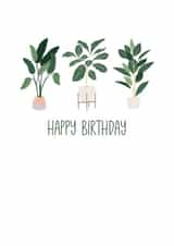 Classic Birthday Card - Plants - Plant Lover created by Rachey Jay Crafts