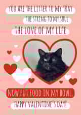 Personalised Valentines Day Photo Card created by Miümi Cat - cheeky poem Valentines Day Personalised Photo Card 9808