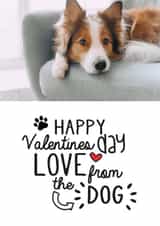 Personalised Valentines Day Photo Card created by Jodie Gaul & Co - Cute Personalised Valentines Day Card / Photo Card - Happy Valentines Day Love From The Dog