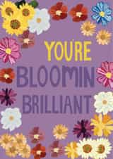 Bloomin Brilliant created by @Niamheile_Design