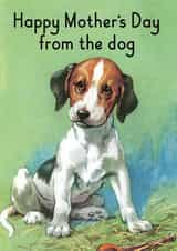 female teen Card 31755 created by © Ladybird Books Ltd 2025