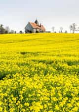 photographic church Sympathy Card 23762 created by Roger Voller