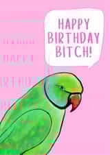 Bitch Rude Birthday Card 20501 created by Sorsha draws things