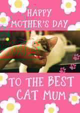 Personalised Mothers Day Photo Card created by Giddy Kipper - PC daisies Mothers Day Personalised Photo Card 7253