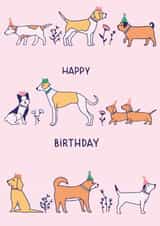 Dog Birthday card created by Emma Tobey Illustration