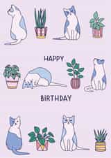 Cat Birthday card created by Emma Tobey Illustration
