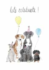 dogs animals Birthday Card 17240 created by Téa Hewitt
