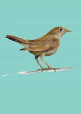 Card 23768 created by Holly T Burrows