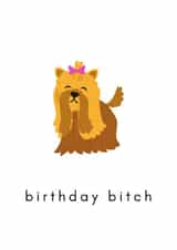 birthday bitch created by cardsopia