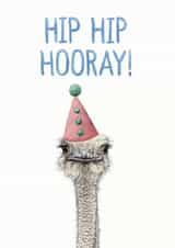 hip hip hip hip hooray Birthday Card 40661 created by Ink Bandit